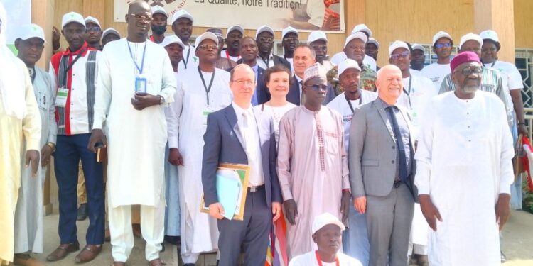 ​Tchad : La filière viande passe à l’ère professionnelle avec « Laham Nadif »