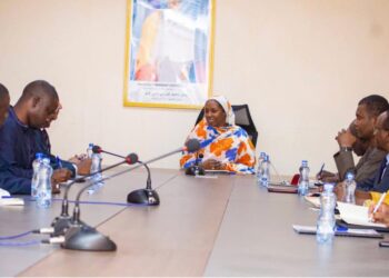 Tchad : Rencontre entre la Ministre des transports et une équipe de la BID