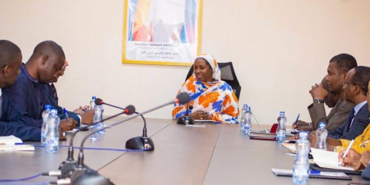 Tchad : Rencontre entre la Ministre des transports et une équipe de la BID