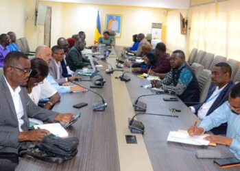 Tchad : Vers une nouvelle étape cruciale dans la lutte contre le VIH, la Tuberculose et le Paludisme