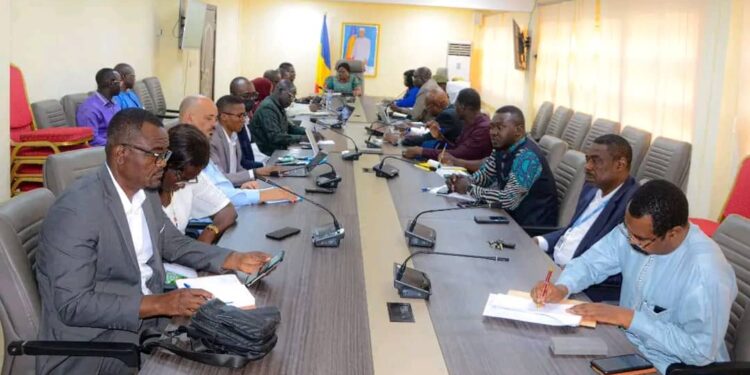 Tchad : Vers une nouvelle étape cruciale dans la lutte contre le VIH, la Tuberculose et le Paludisme