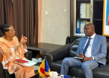 Tchad : La Représentante de l’UNFPA reçue par le Ministre de l’Eau et de l’Énergie