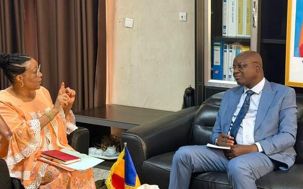 Tchad : La Représentante de l’UNFPA reçue par le Ministre de l’Eau et de l’Énergie