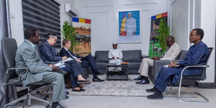 Coopération : Le Tchad et l&rsquo;Union européenne renforcent leur coopération environnementale