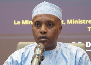 Diplomatie : Dr Abdoulaye Sabre Fadoul échange avec son homologue vénézuélien sur la situation sécuritaire au Venezuela