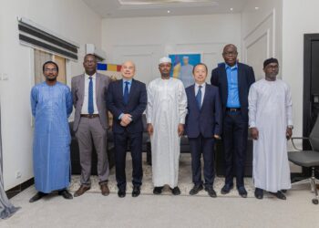 Tchad : Le Ministre de l&rsquo;environnement reçoit l&rsquo;ambassadeur de Chine