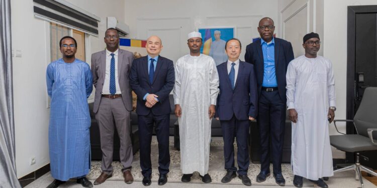 Tchad : Le Ministre de l&rsquo;environnement reçoit l&rsquo;ambassadeur de Chine