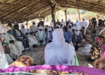 ​Sila : Le préfet Nassour Bichara Haggar mobilise les acteurs locaux à Mogororo