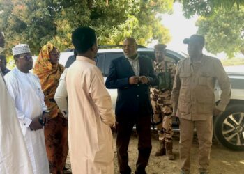 N’Djamena : Le ministre de l&rsquo;urbanisme inspecte les sites des futures mini-plages sur le fleuve Chari