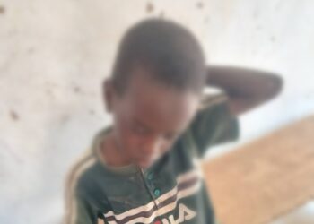 ​Goz-Beïda : Alerte aux essaims, le quartier Khadra sous tension