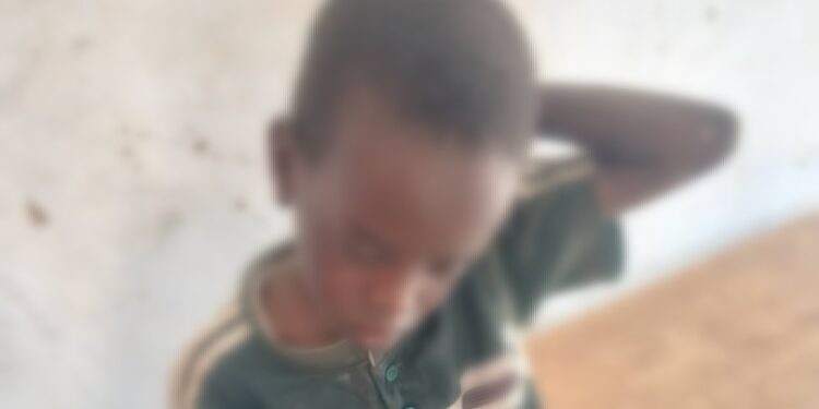 ​Goz-Beïda : Alerte aux essaims, le quartier Khadra sous tension