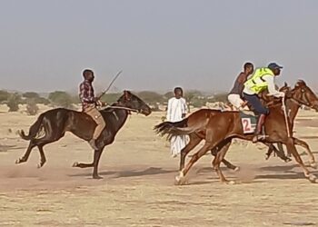 ​Wadi-Fira : La course hippique, un pont entre traditions et cohésion sociale