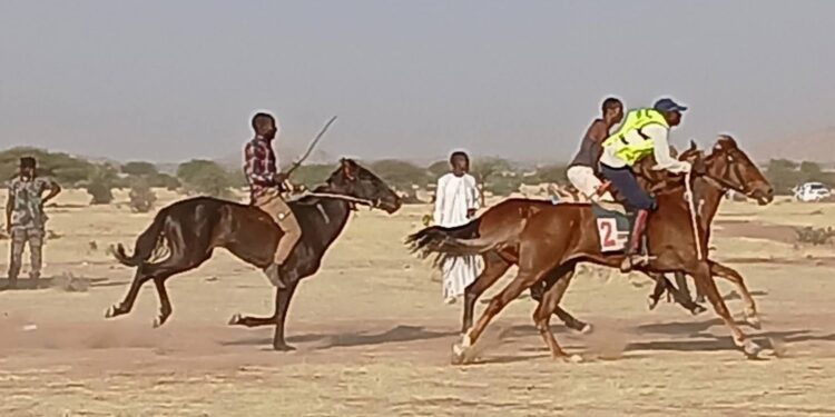 ​Wadi-Fira : La course hippique, un pont entre traditions et cohésion sociale