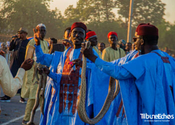 ​Tchad : Le Chari-Baguirmi fait vibrer le Festival Dary au rythme de ses terroirs