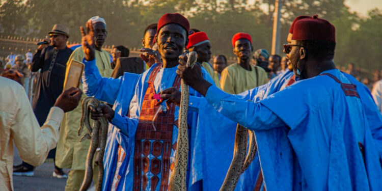 ​Tchad : Le Chari-Baguirmi fait vibrer le Festival Dary au rythme de ses terroirs