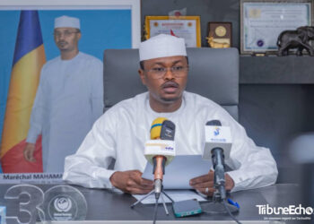 Tchad : Le Ministre de l&rsquo;environnement fait la restitution de sa tournée nationale