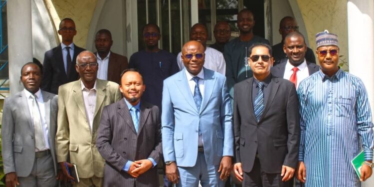 ​Tchad : La BID réaffirme son soutien financier aux projets énergétiques et hydrauliques​