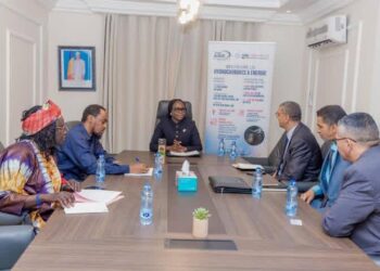 Tchad : Rencontre entre l&rsquo;ANIE et une délégation d&rsquo;entreprises maghrébines pour le PND