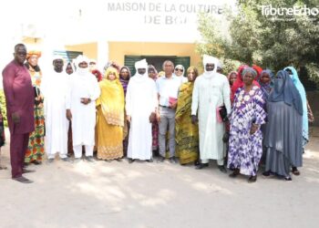 #Tchad : Mission conjointe du projet Connectivité du Tchad et de la Banque mondiale au Lac Tchad