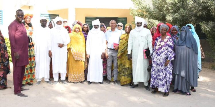 #Tchad : Mission conjointe du projet Connectivité du Tchad et de la Banque mondiale au Lac Tchad