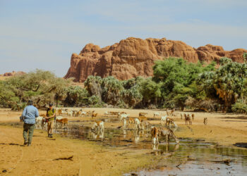 ​Ennedi Est : un touriste français retrouvé mort après deux jours de recherches