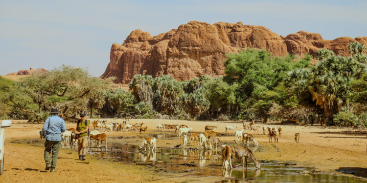 ​Ennedi Est : un touriste français retrouvé mort après deux jours de recherches