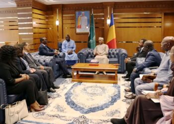 Tchad : Le Ministre des Affaires Étrangères reçoit une délégation de l&rsquo;AUABC