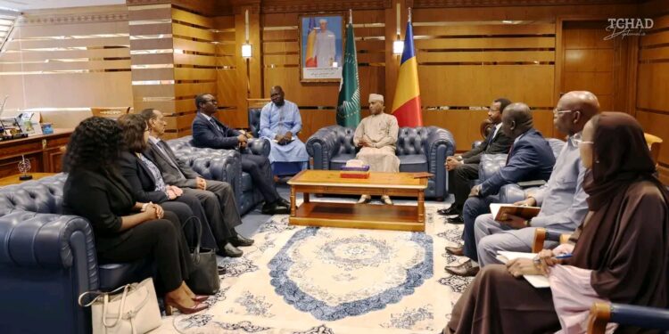 Tchad : Le Ministre des Affaires Étrangères reçoit une délégation de l&rsquo;AUABC