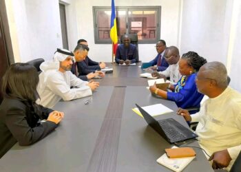 Tchad : Le Ministre du Commerce reçoit un groupe d&rsquo;investisseurs industriels basé à Dubaï