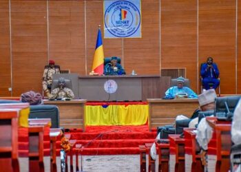 Tchad : Le Sénat examine et adopte une loi sur la contrefaçon médicale