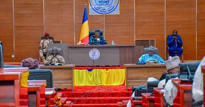 Tchad : Le Sénat examine et adopte une loi sur la contrefaçon médicale