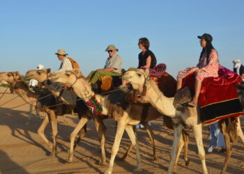 ​Ennedi Est : Plus de 80 touristes français en immersion chamelière à Amdjarass