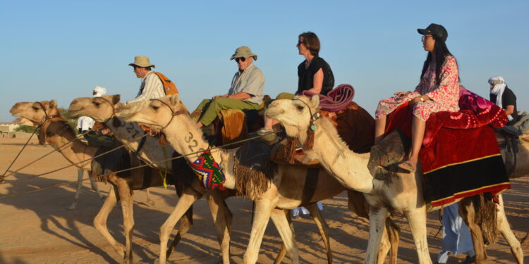 ​Ennedi Est : Plus de 80 touristes français en immersion chamelière à Amdjarass