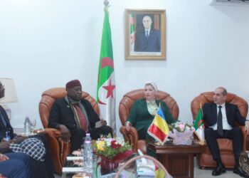 ​Tchad : L&rsquo;expertise sociale algérienne au service des réformes du CESCE​