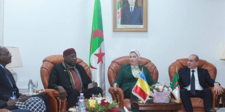 ​Tchad : L&rsquo;expertise sociale algérienne au service des réformes du CESCE​