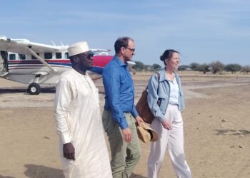 ​Tchad : La coopération allemande au chevet du projet DECILAC à Bol