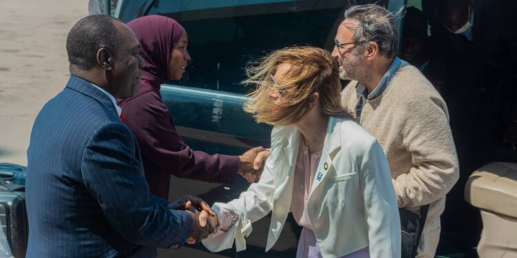 N’Djamena accueille la Secrétaire générale de l’OMM pour un sommet sur le climat