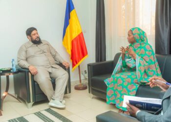 ​Tchad : La Ministre Fatima Goukouni Weddeye et le groupe émirati AD Ports accélèrent le projet du port sec de Moundou