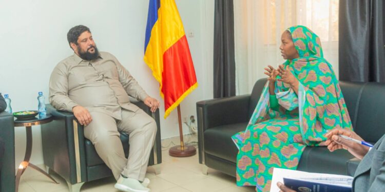 ​Tchad : La Ministre Fatima Goukouni Weddeye et le groupe émirati AD Ports accélèrent le projet du port sec de Moundou
