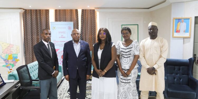 ​Tchad : Renforcement du partenariat avec l’Afrique du Sud pour les droits des femmes et la petite enfance