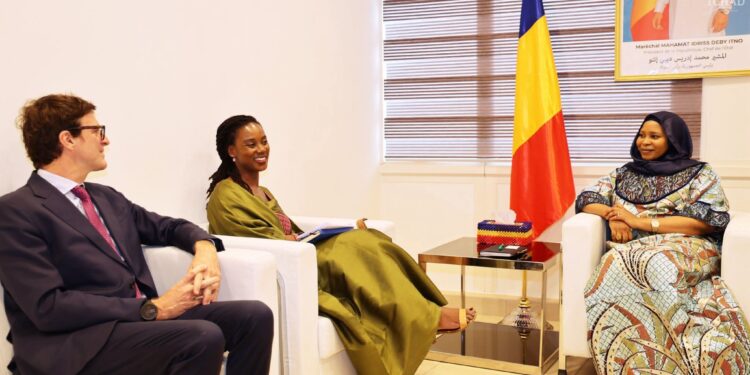 ​Tchad : Un leadership migratoire salué par l’OIM