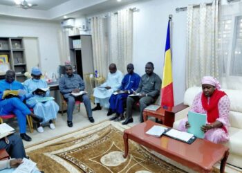 ​Tchad : La HAMA valide son plan opérationnel pour l&rsquo;exercice 2026