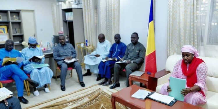 ​Tchad : La HAMA valide son plan opérationnel pour l&rsquo;exercice 2026