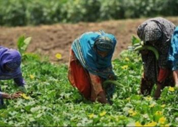 ​Tchad : Les femmes, piliers invisibles mais essentiels de l’économie locale