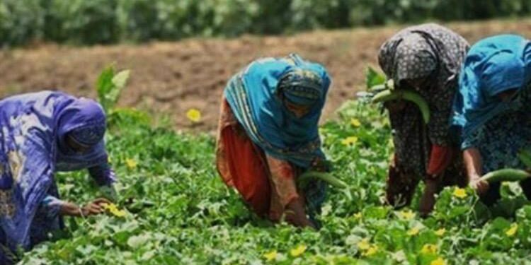 ​Tchad : Les femmes, piliers invisibles mais essentiels de l’économie locale