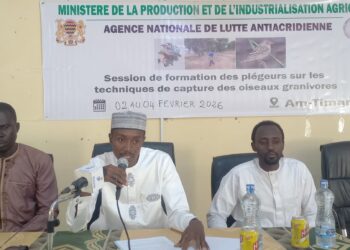 ​Am-Timan : 30 piégeurs formés aux techniques de capture des oiseaux granivores