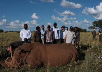 En Afrique du Sud, le Ministre de l&rsquo;environnement visite la ferme des rhinocéros d&rsquo;African Parks