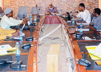 Tchad : Réunion de la Commission Nationale de Lutte contre les Médicaments de Qualité Inférieure et Falsifiés (MQIF)