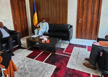 Tchad : Renforcement de la Coopération Éducative entre le Tchad et l’Afrique du Sud