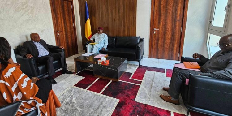 Tchad : Renforcement de la Coopération Éducative entre le Tchad et l’Afrique du Sud